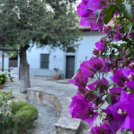 Pensjonat Complejo Rural Huerta Grande Algeciras Zewnętrze zdjęcie