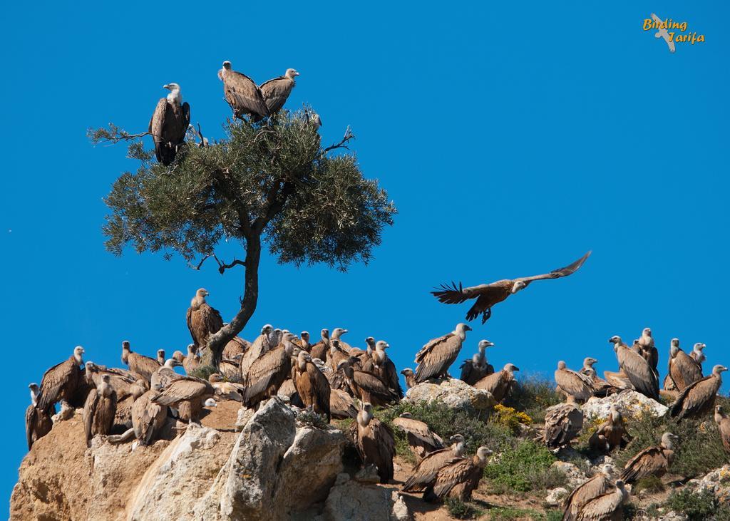 Pensjonat Complejo Rural Huerta Grande Algeciras Zewnętrze zdjęcie