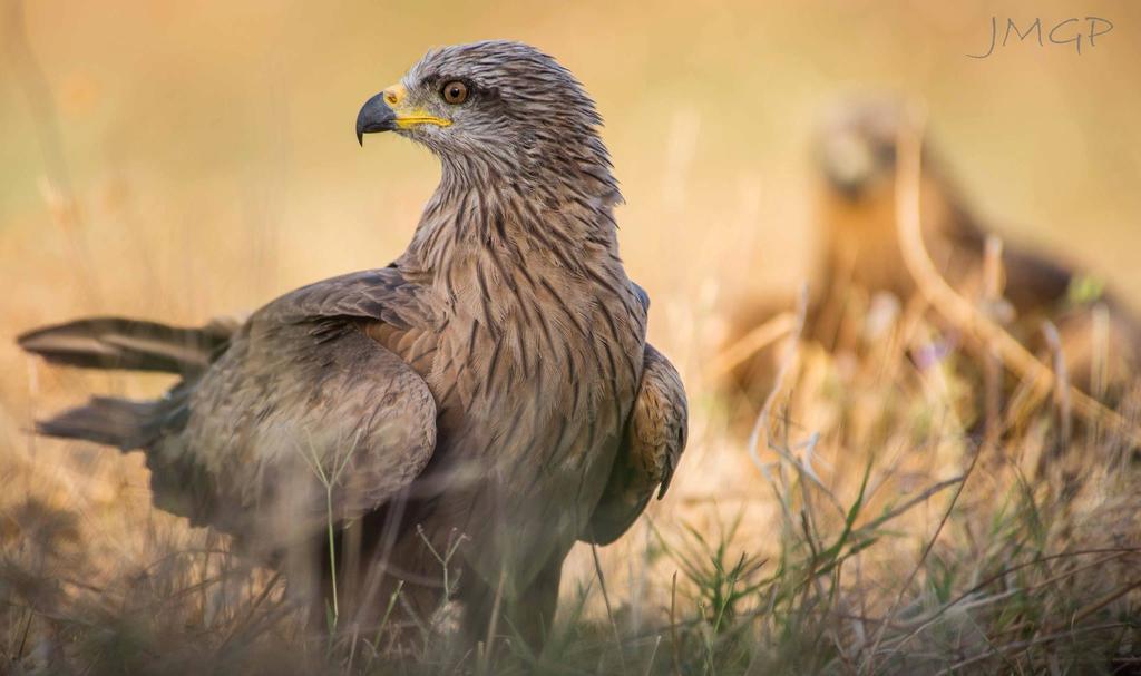 Pensjonat Complejo Rural Huerta Grande Algeciras Zewnętrze zdjęcie
